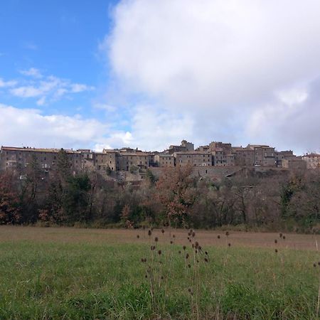 Casa Vacanza In Casale Vicino Orvieto Ficulle Extérieur photo