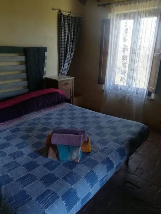 Casa Vacanza In Casale Vicino Orvieto Ficulle Extérieur photo