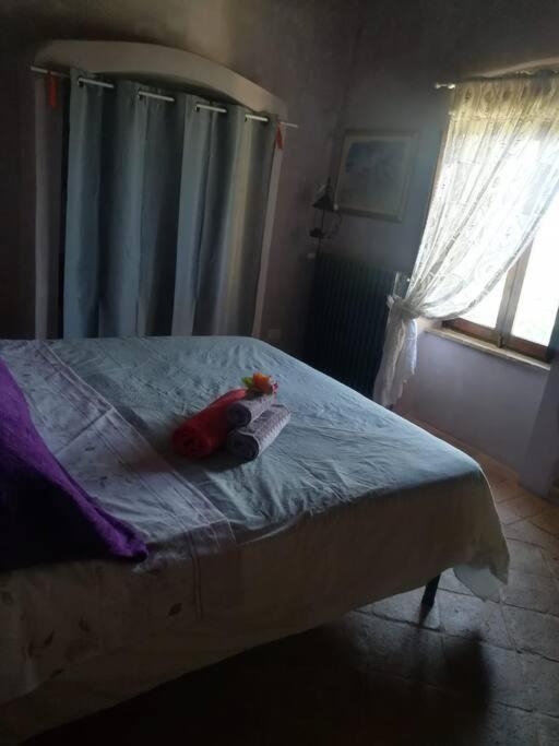 Casa Vacanza In Casale Vicino Orvieto Ficulle Extérieur photo
